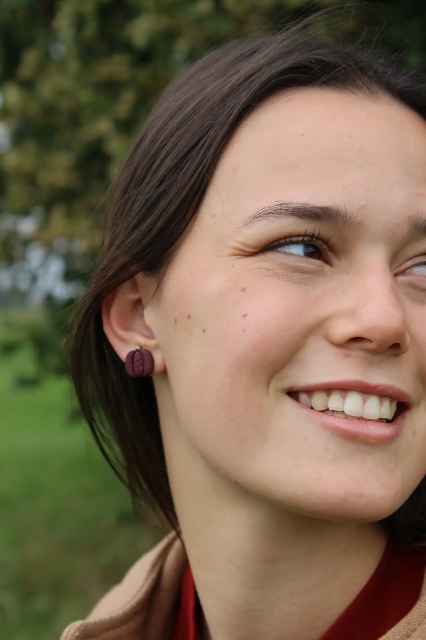"Tiny pumpkins" earrings